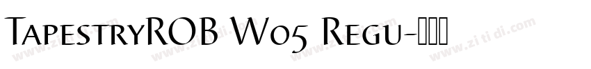 TapestryROB W05 Regu字体转换